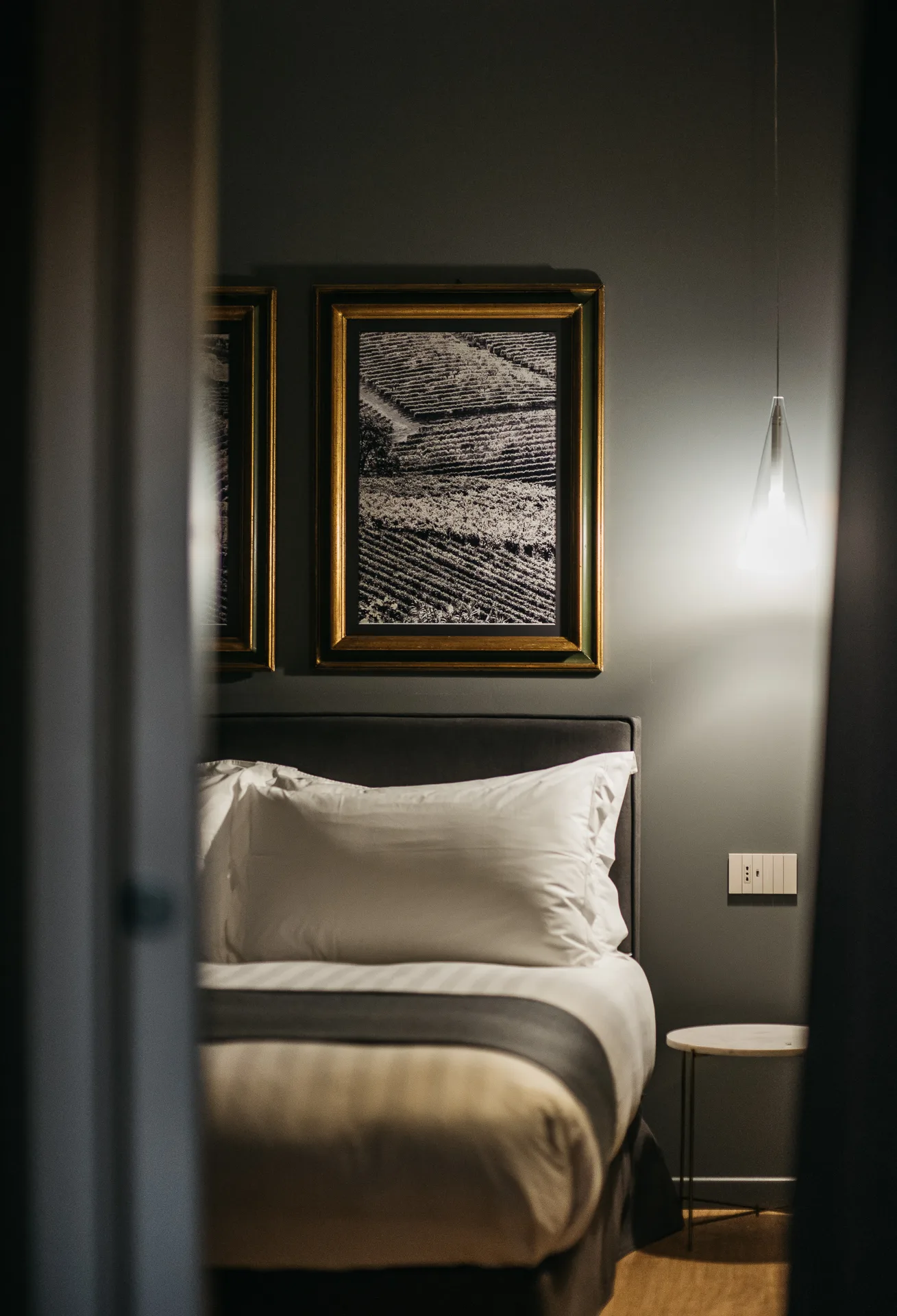 AgriSuite Il Cedro — immagine 19